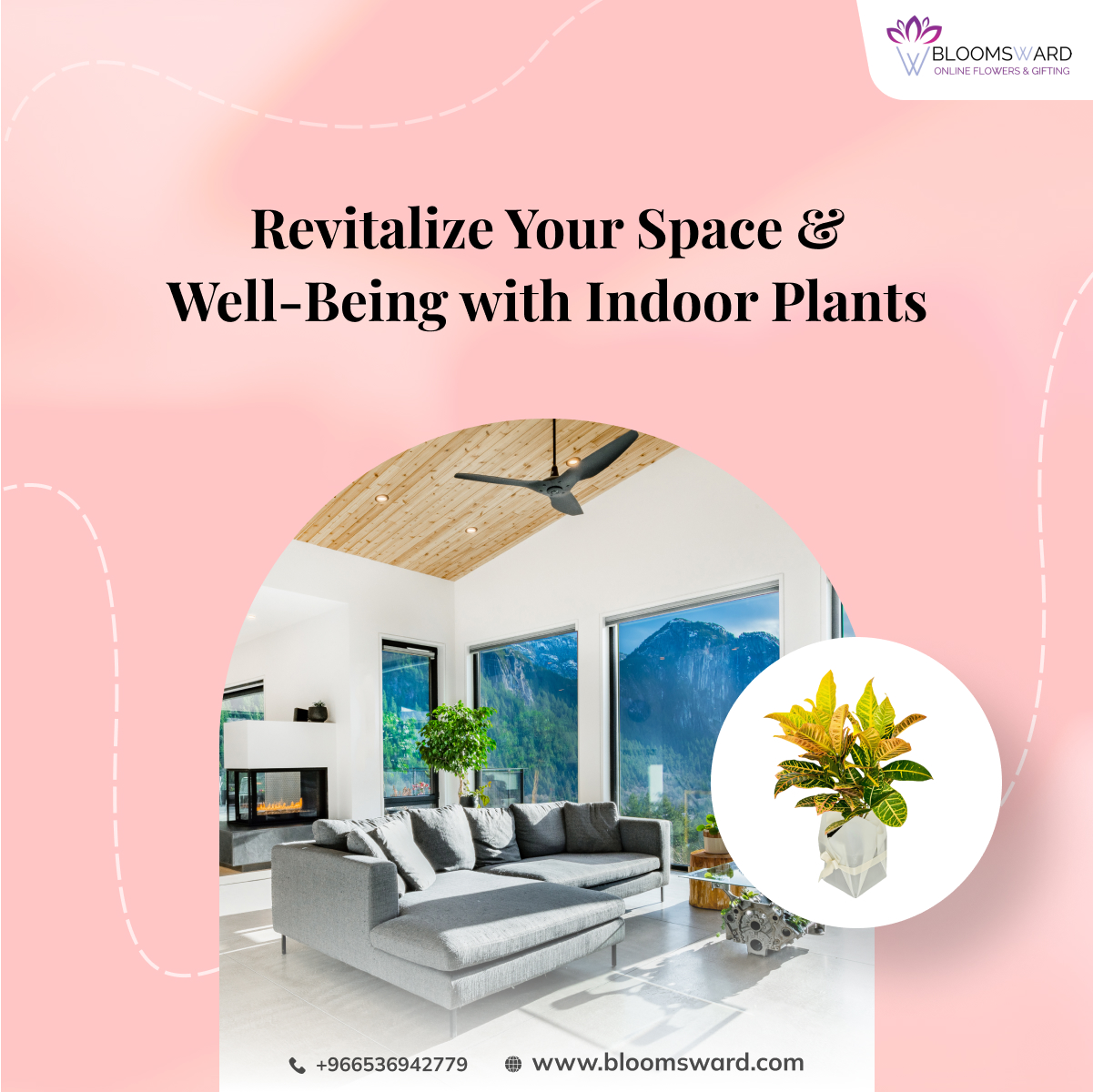 Revitalize Your Space and Well-Being with Indoor Plants
