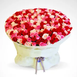 Gift of Elegance - 250 Mix Rose Bouquet