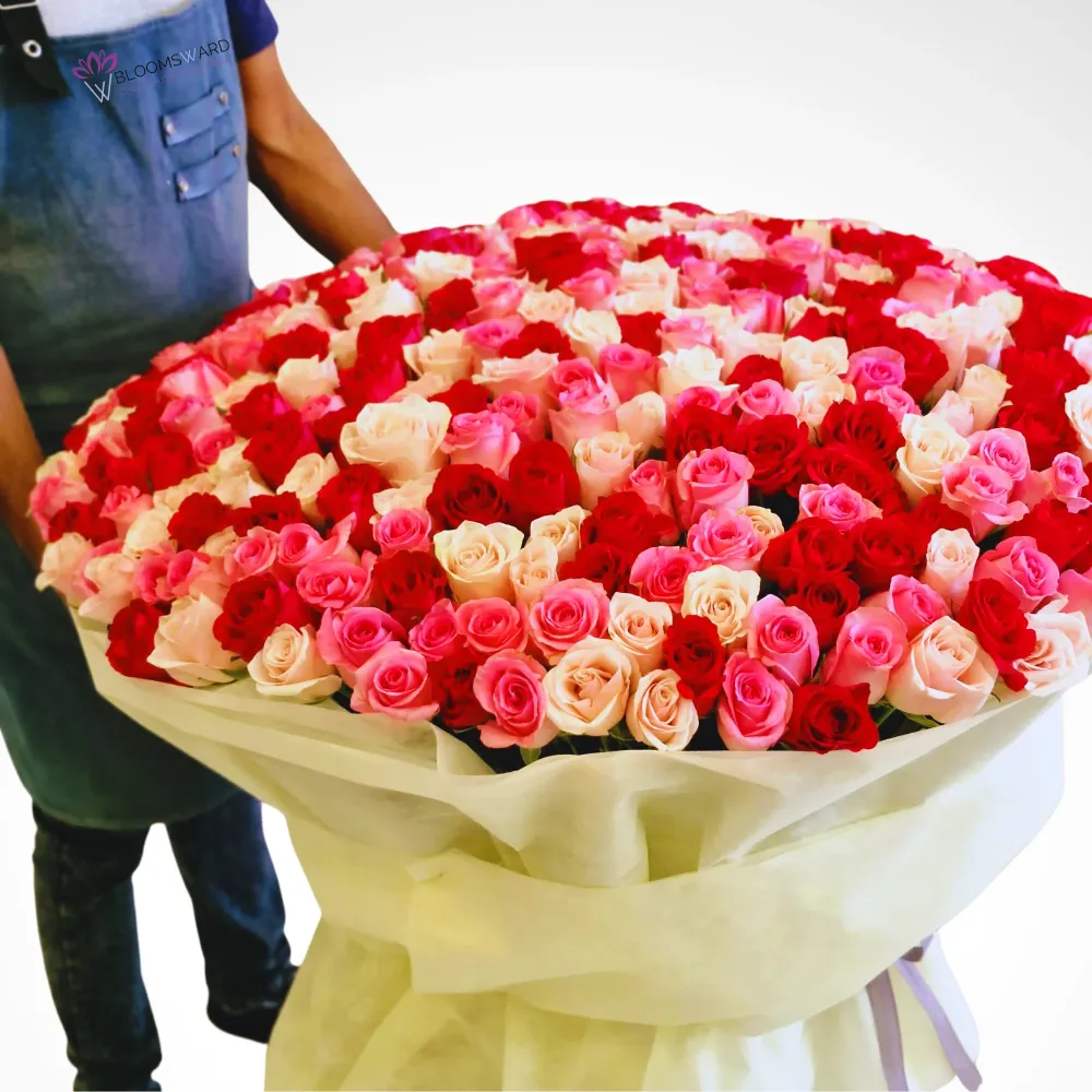 Gift of Elegance - 250 Mix Rose Bouquet