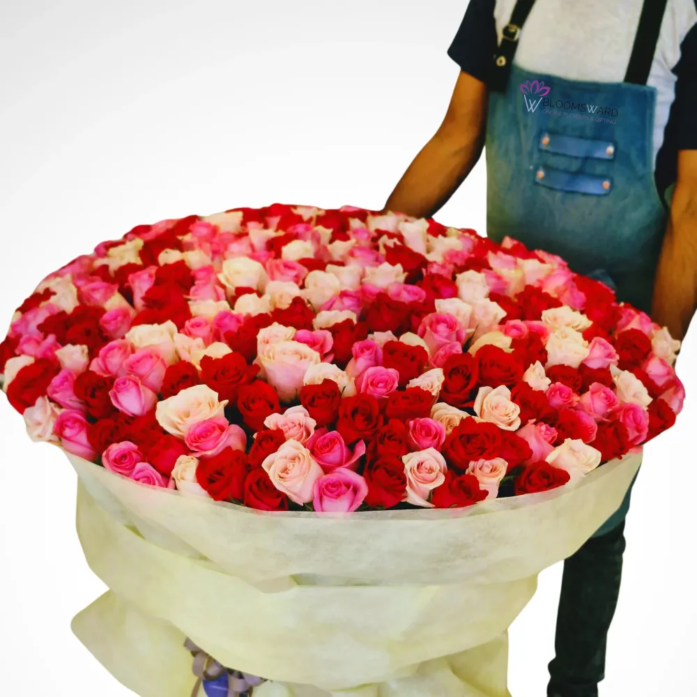 Gift of Elegance - 250 Mix Rose Bouquet