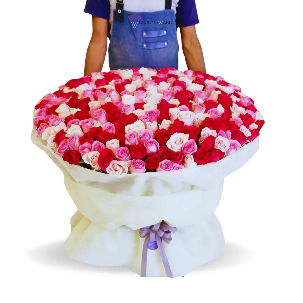 Gift of Elegance - 250 Mix Rose Bouquet
