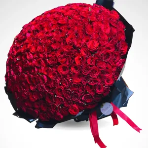 Everything About you - 300 Red rose