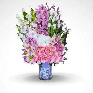 Admiration - 2 KG Patchi