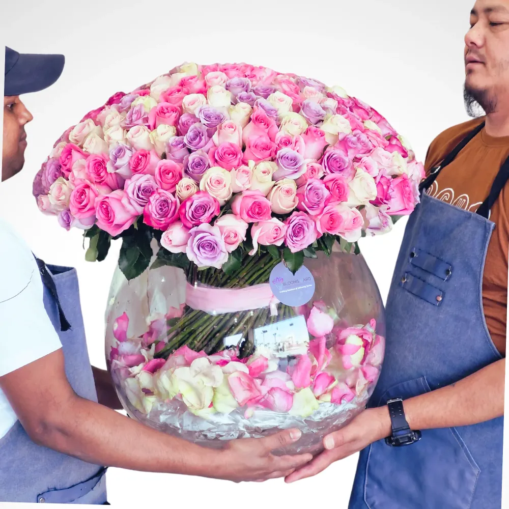 Song of Nature - 230 Mix Roses