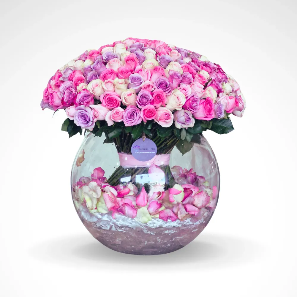 Song of Nature - 230 Mix Roses