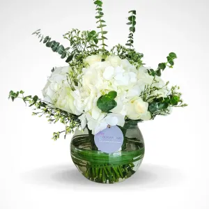 The Gracious Occassion