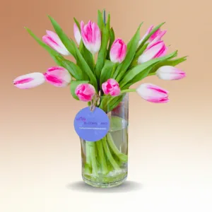 The Periwinkle Breeze - One Dozen Tulip