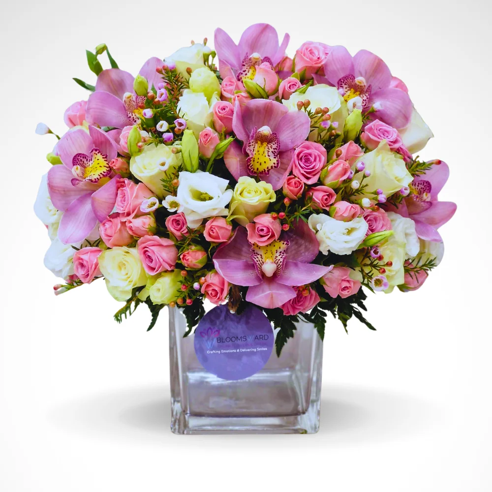 Special Joy - One Faced Design
