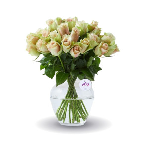 Say It With Rose - 20 Rose