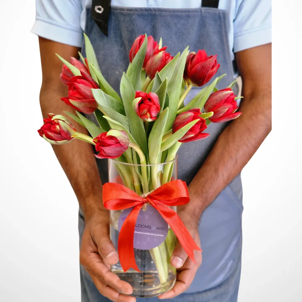 The Red Tulip Moments