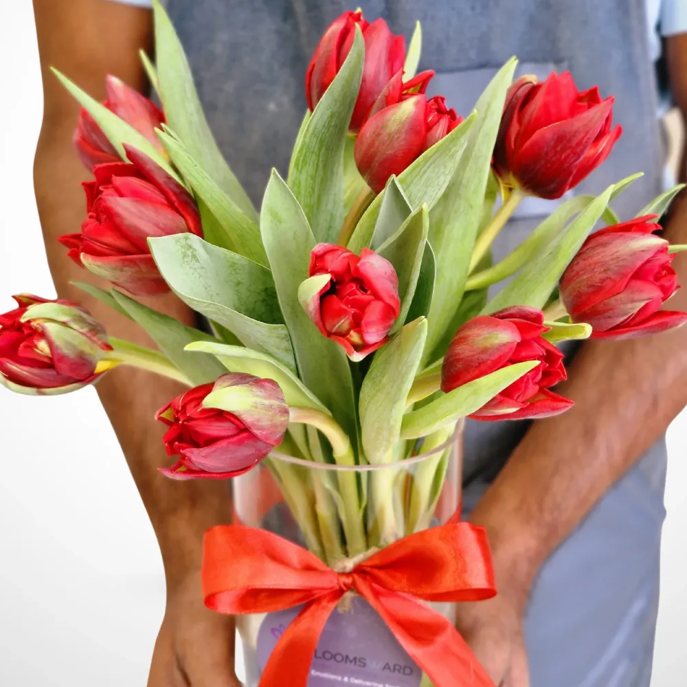 The Red Tulip Moments