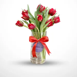 The Red Tulip Moments