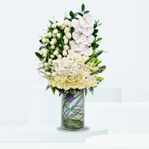Trendy White – Elegant Serenity in Bloom