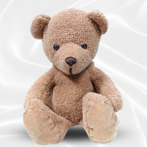 Brown Teddy