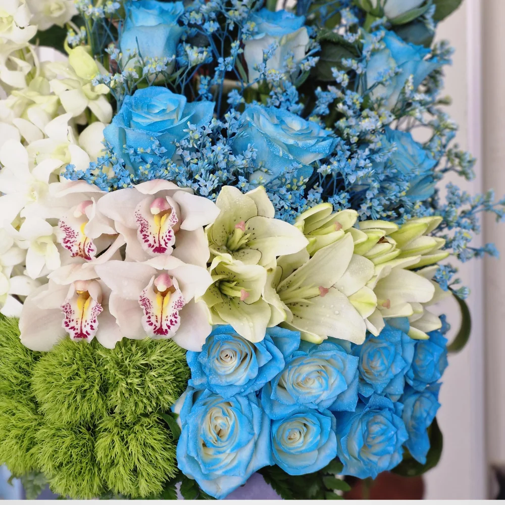 The Captivating Blue