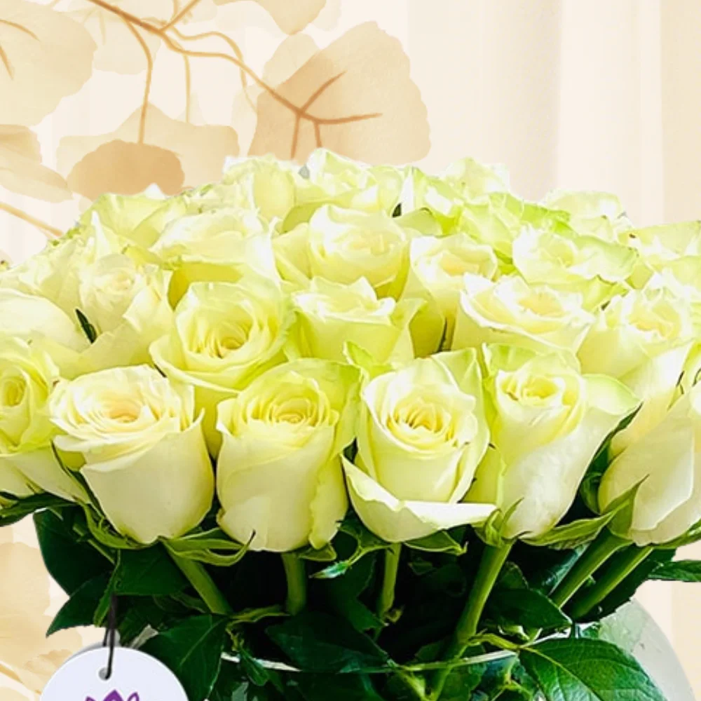الفازة الراقية
