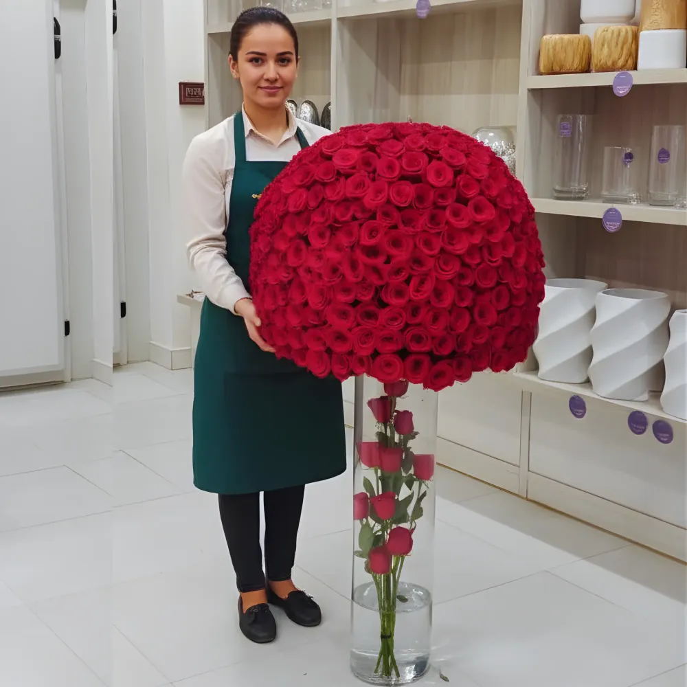 Our Journey -  Massive 600 Rose