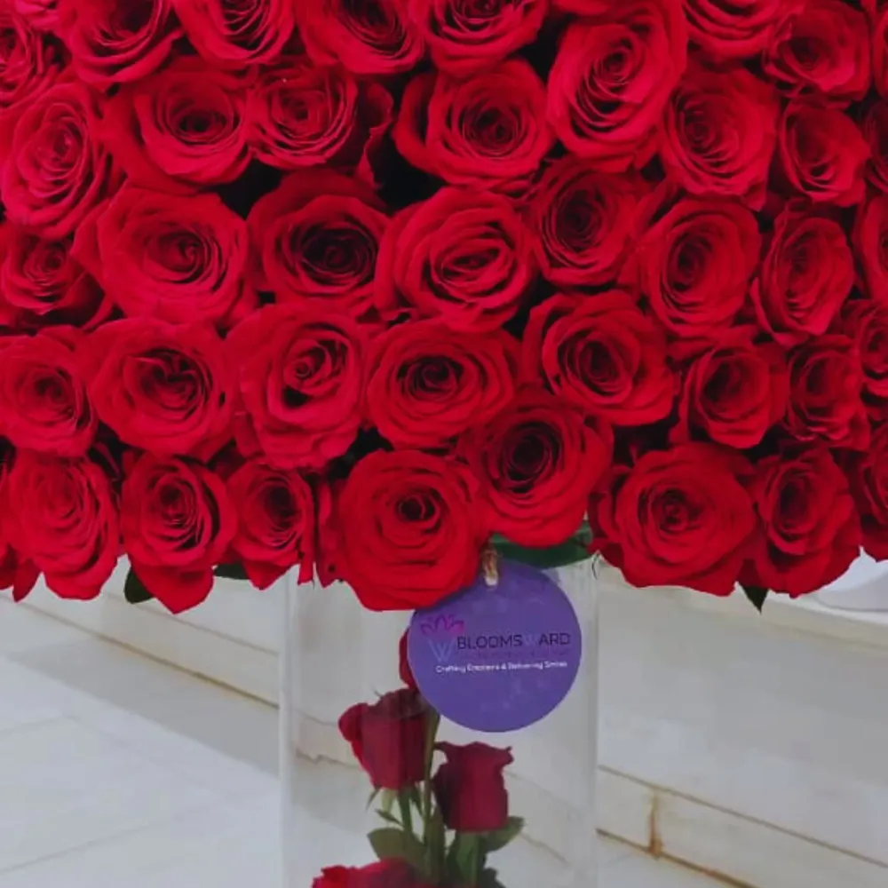 Our Journey -  Massive 600 Rose