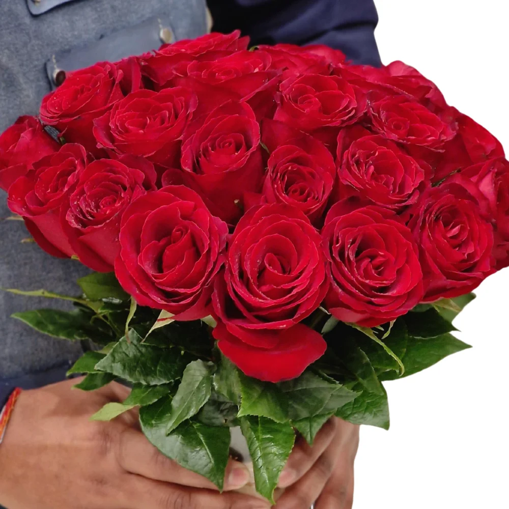 Message of Love - 2 Dozen Rose