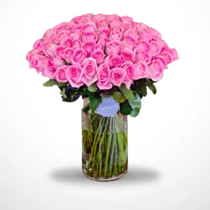 Fireworks - 100 Pink rose