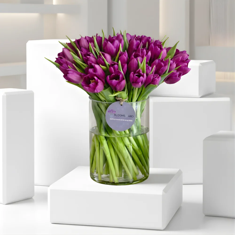 Musical Night - 50 Tulips