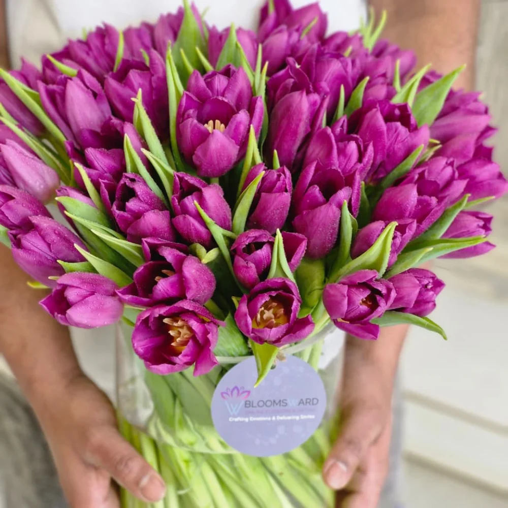 Musical Night - 50 Tulips