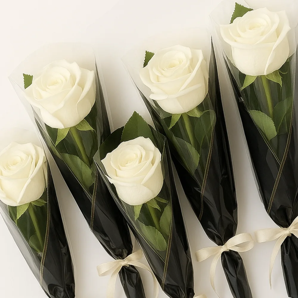 Giveaway - Single rose