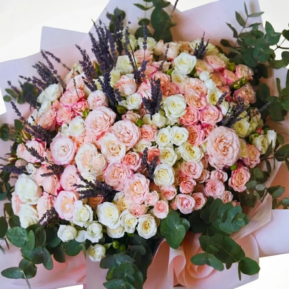 Soft Magic - 40 Baby Rose