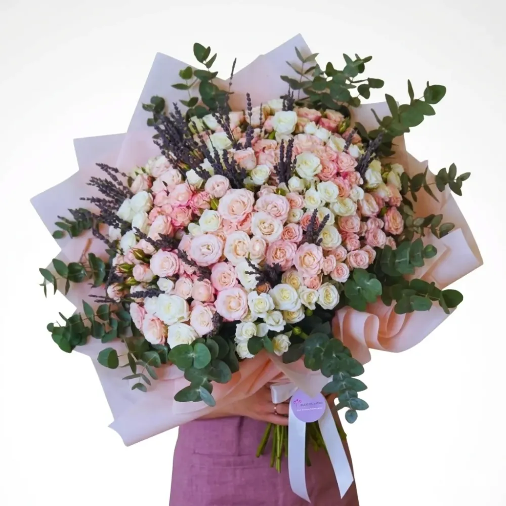 Soft Magic - 40 Baby Rose