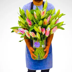 The Bloomzy Stargazers