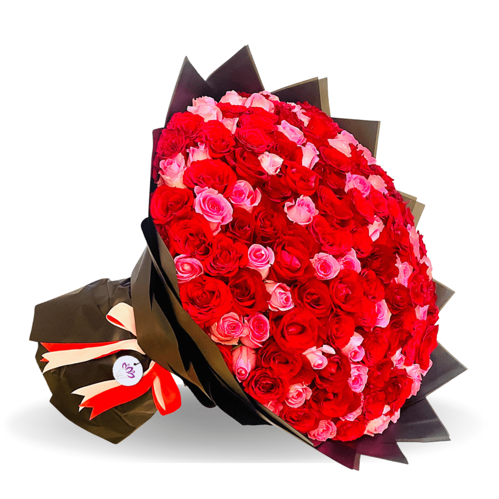 Vibrant Red - 100 Rose