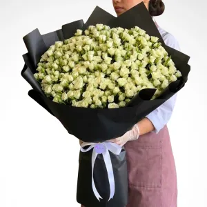 Infinite Galaxy - 100 White baby rose