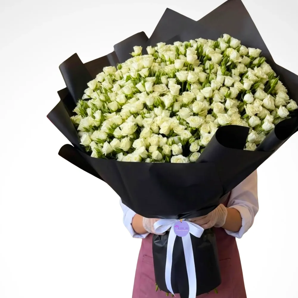 Infinite Galaxy - 100 White baby rose