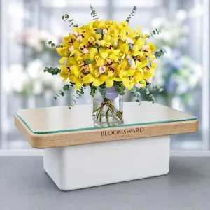 Yellow Cymbidium Flare