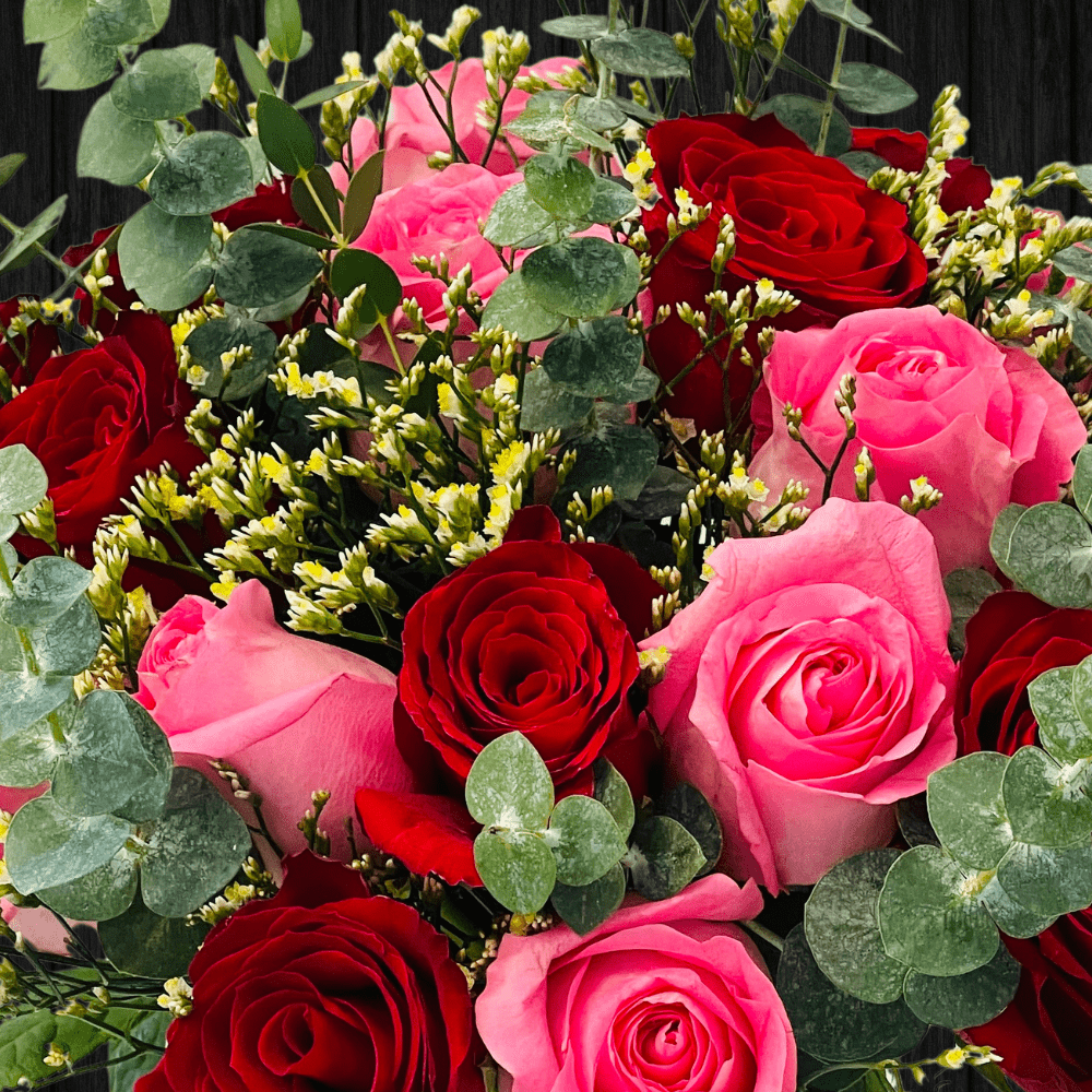 Red & Pink Rose