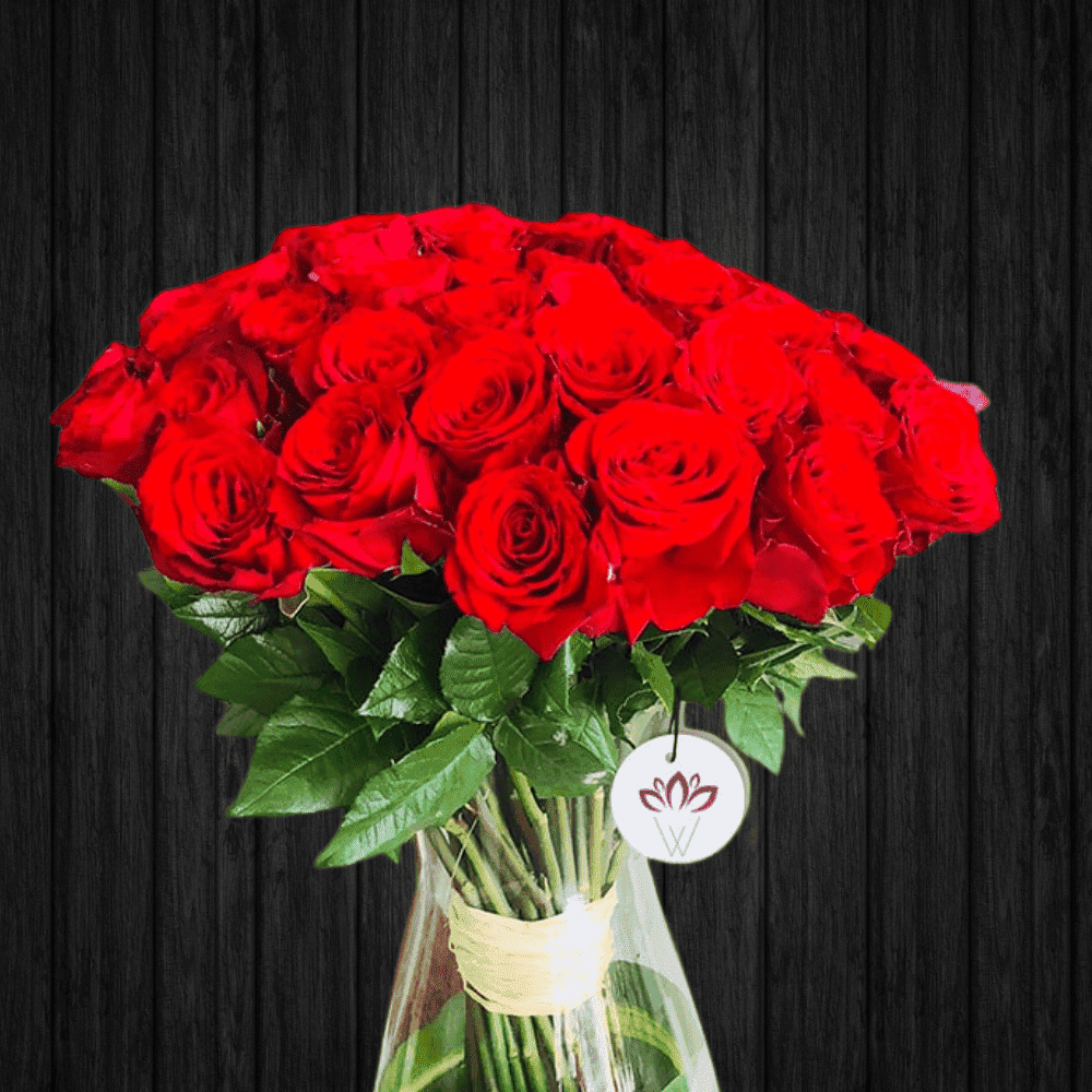 Message of Love - 2 Dozen Rose