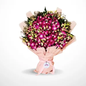 Attraction - 50 Orchids