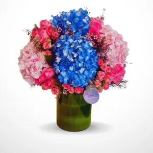 Blue Vibe - Special Collection