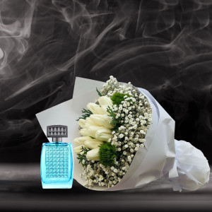 Sialia Currucoides Combo