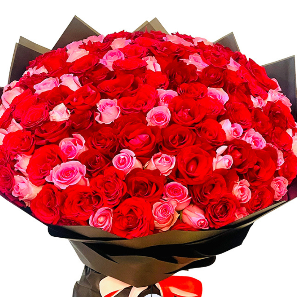 Vibrant Red - 100 Rose