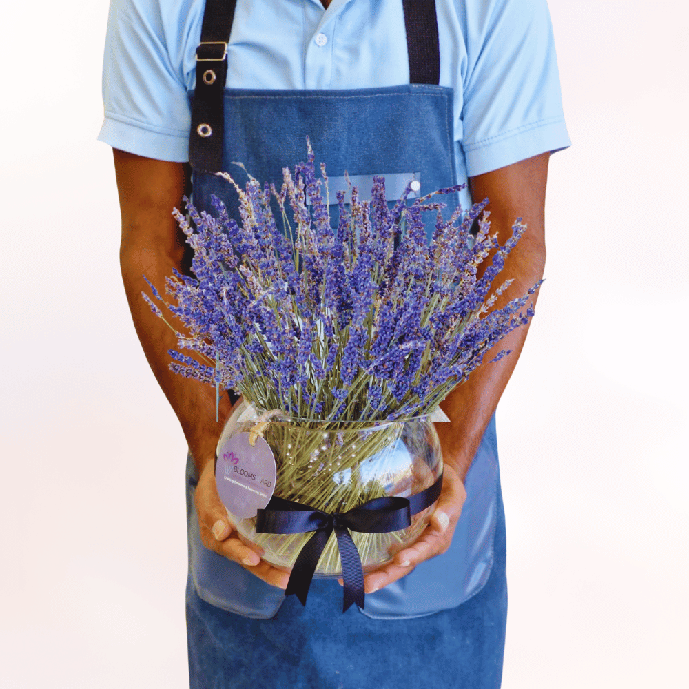 Luxury Lavender
