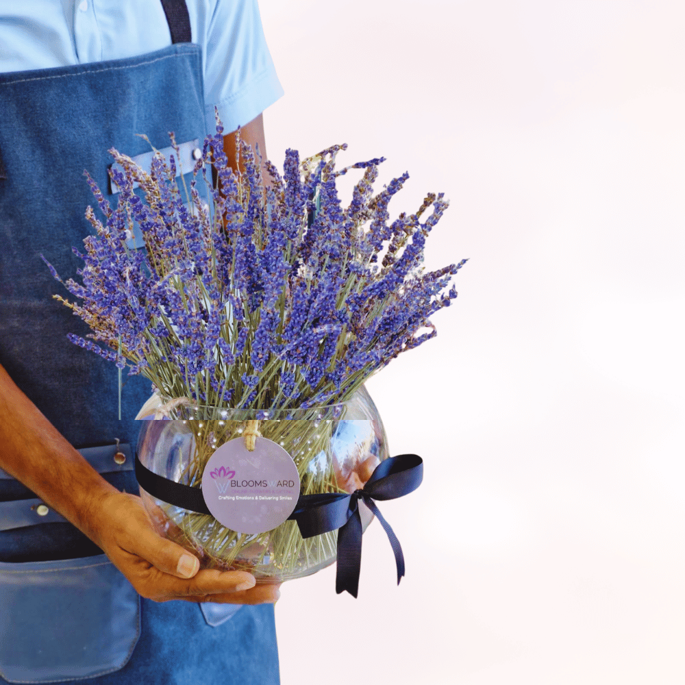 Luxury Lavender