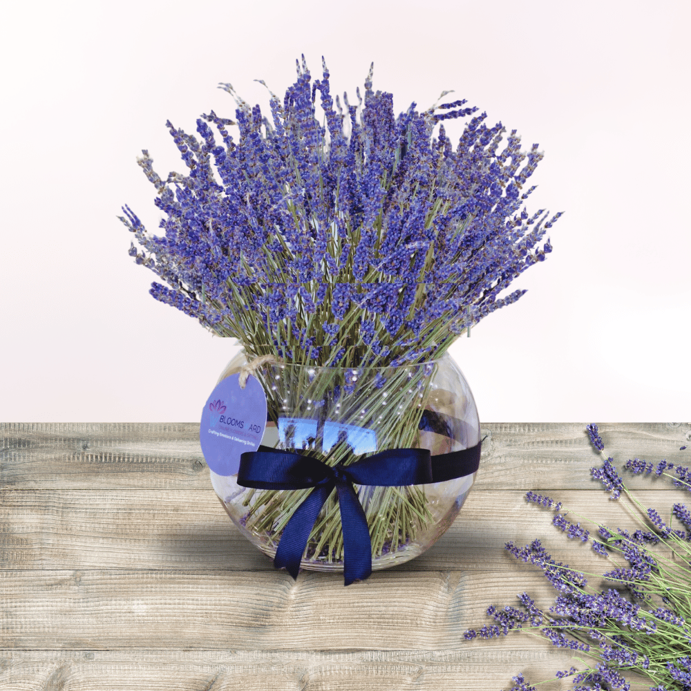 Luxury Lavender