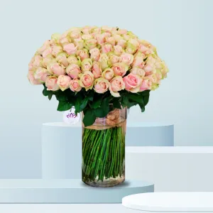 The Butterfly Effect - 150 ROSE