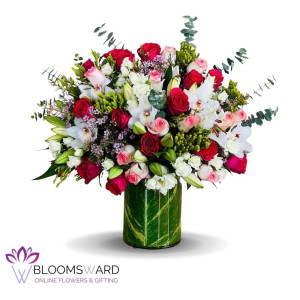 Popping Reds - One Faced Design