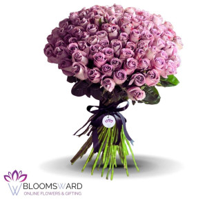 Purple Blooms - 100 Rose