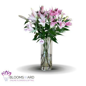 Simply Wow - 10 Stems
