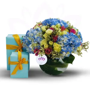 The Beyond Blue - Royal Godiva