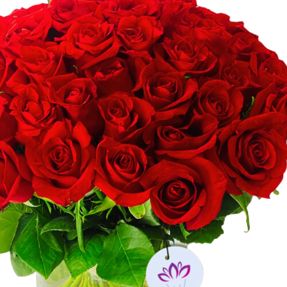 Romantic Us! - 40 Rose
