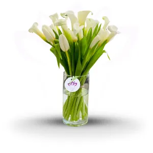 Matterhorn- Calla Lily & Tulips